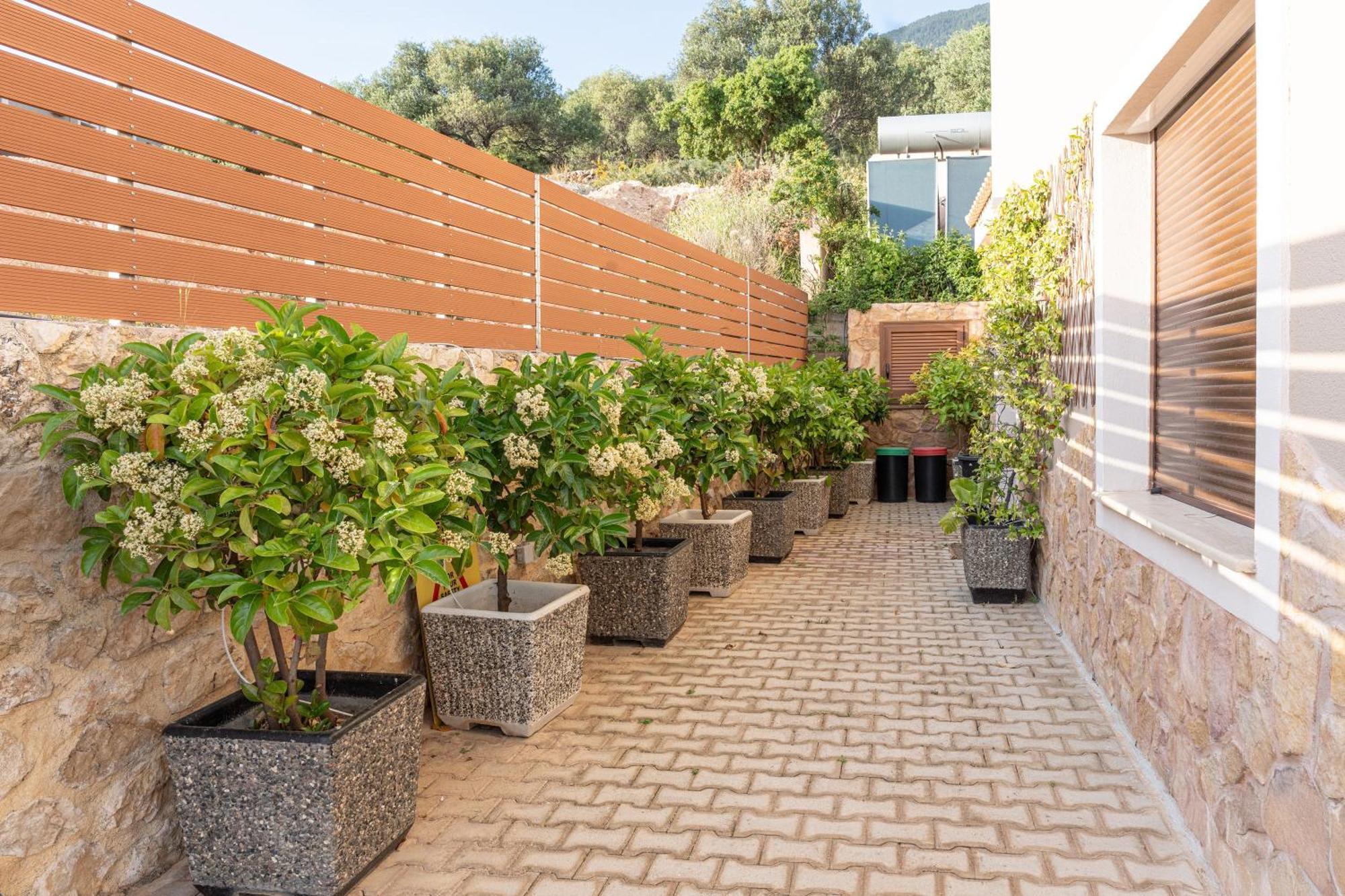 Kefalonia Heaven Villa Vlachata Ngoại thất bức ảnh